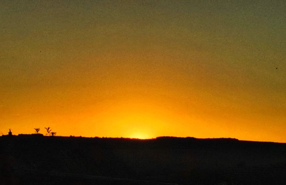 Photograph by Nikolett Mengyi