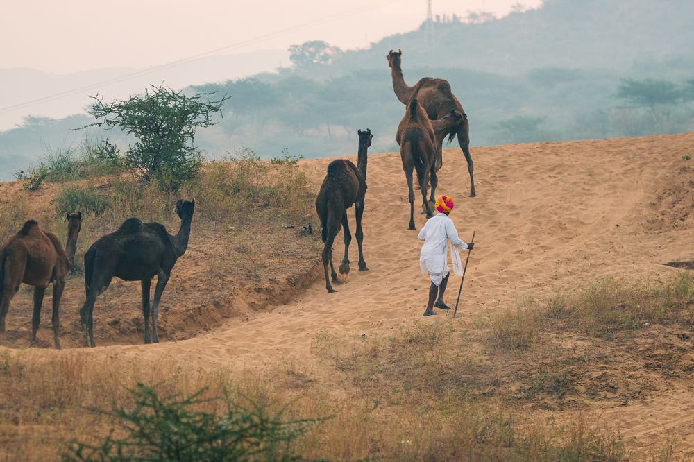 Фотография автора Kirtesh Mahant
