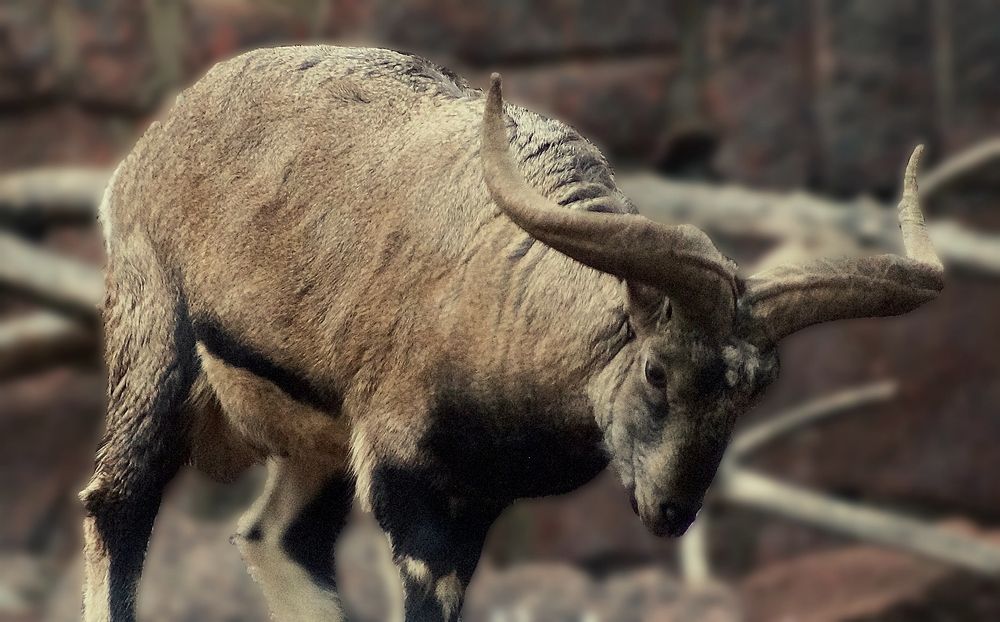 Photograph by Светлана Логинова