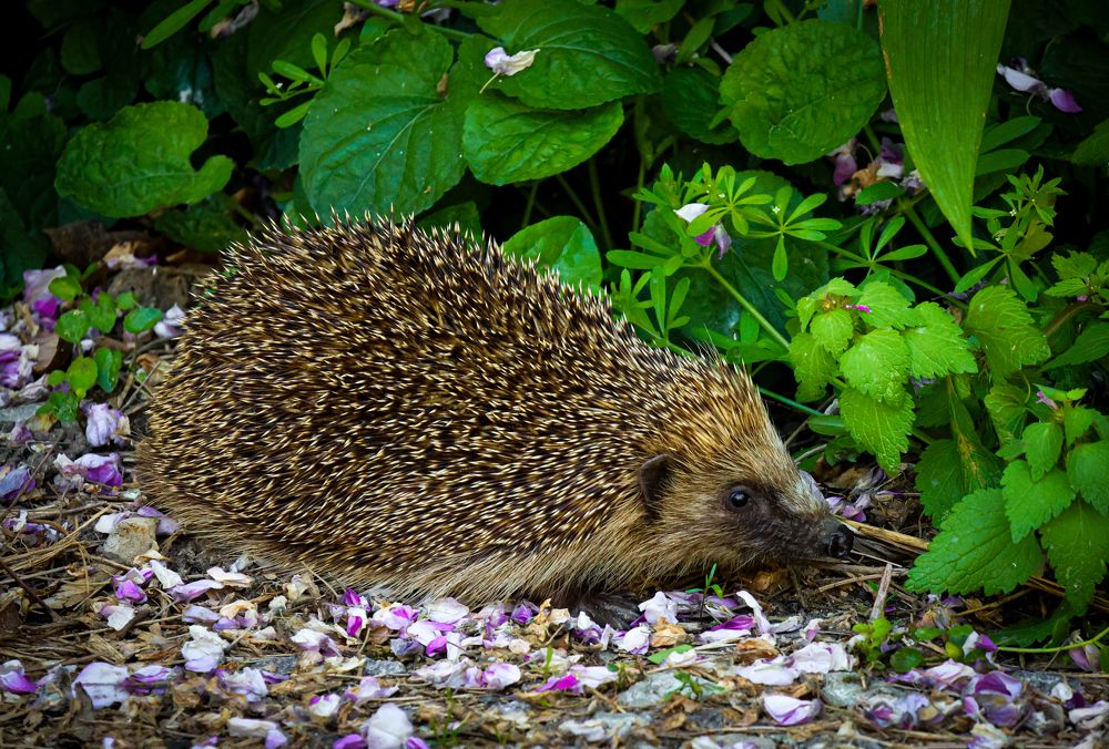 Photograph by Eva Wiedemann