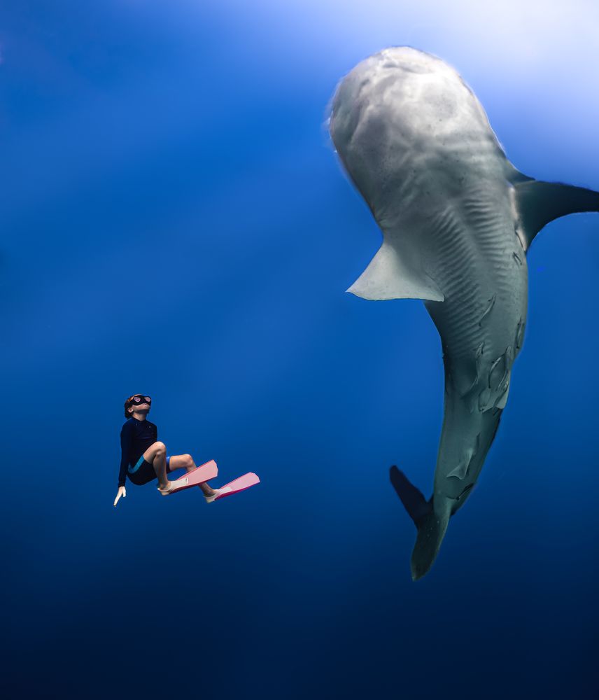 The kid and the underwater giant