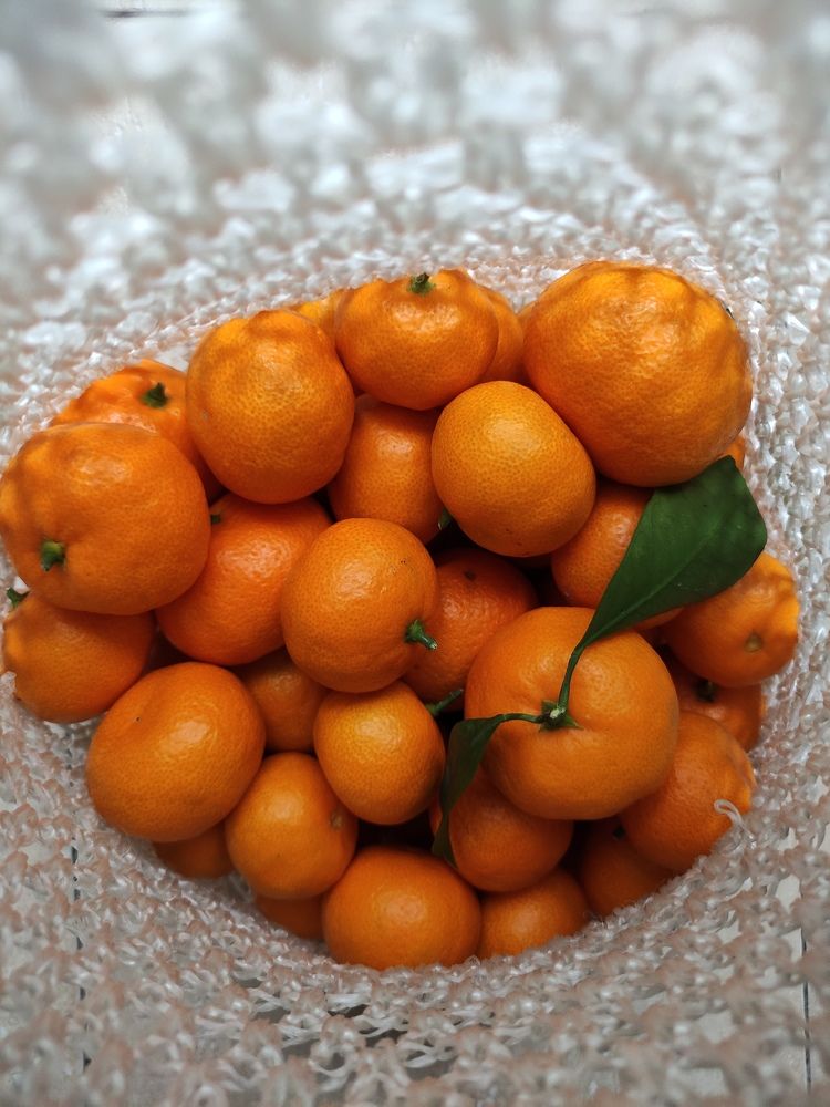 Photograph by Irina Alekseevskaya