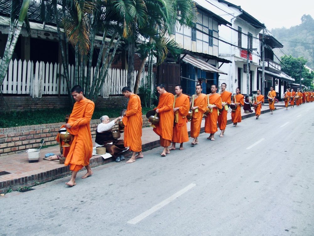 Фотография автора VIZO VIZO