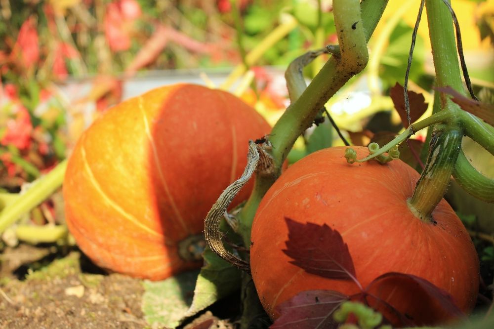 Photograph by Антон Иванов