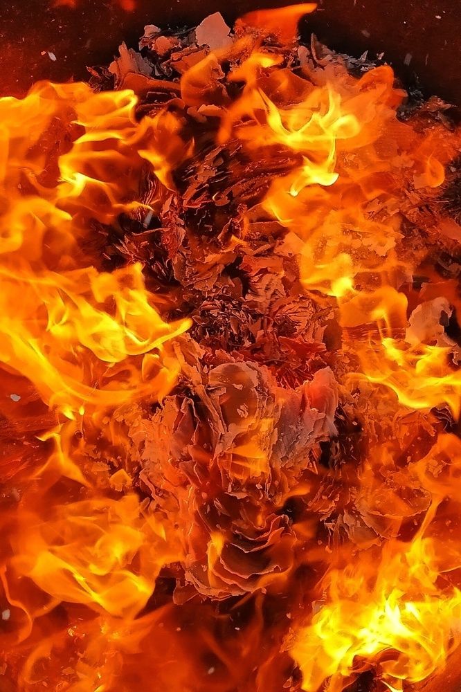 Photograph by Надежда Рудакова