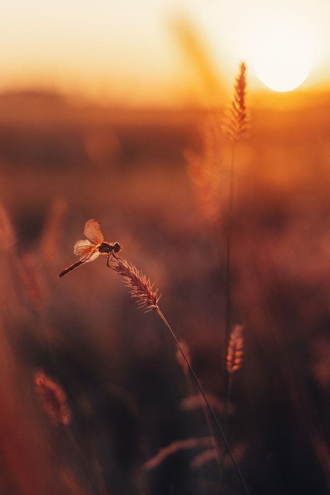 Photograph by Вика Фолина