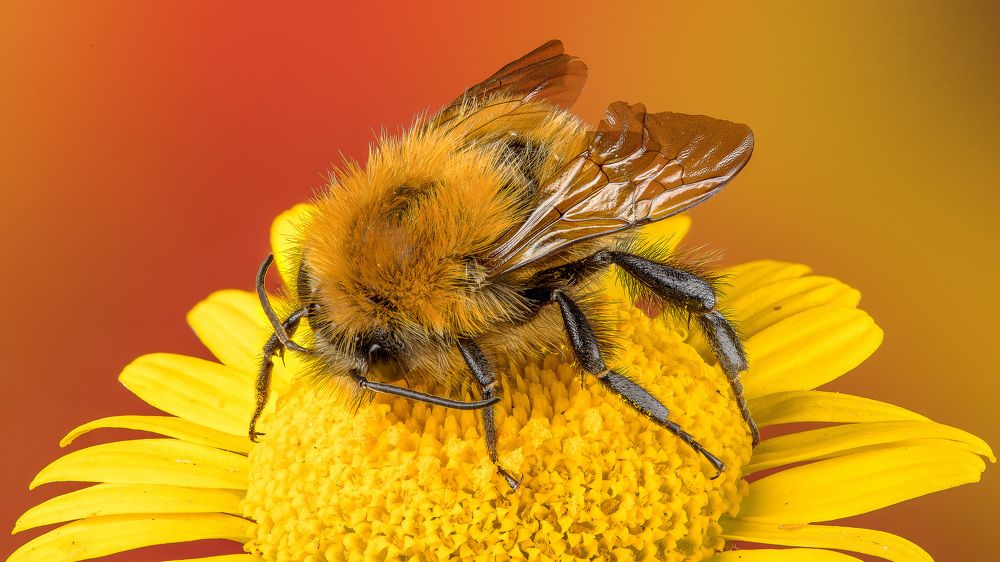 Photograph by Андрей Кривов