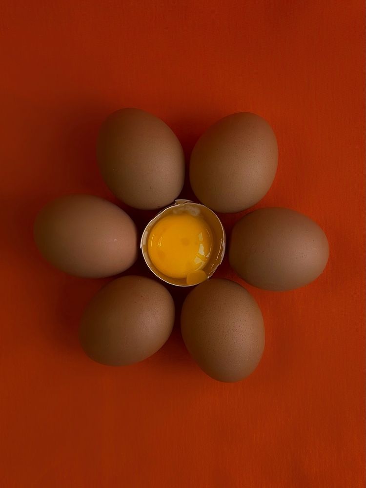 Photograph by Марина Фомичева