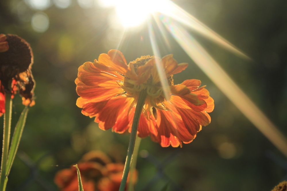 Photograph by Антон Иванов