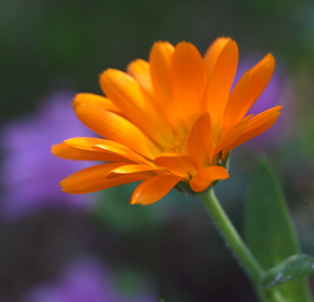 Photograph by Татьяна