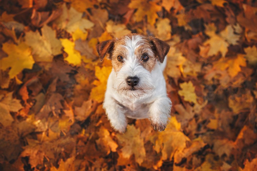 Photograph by Яна Нарбутович