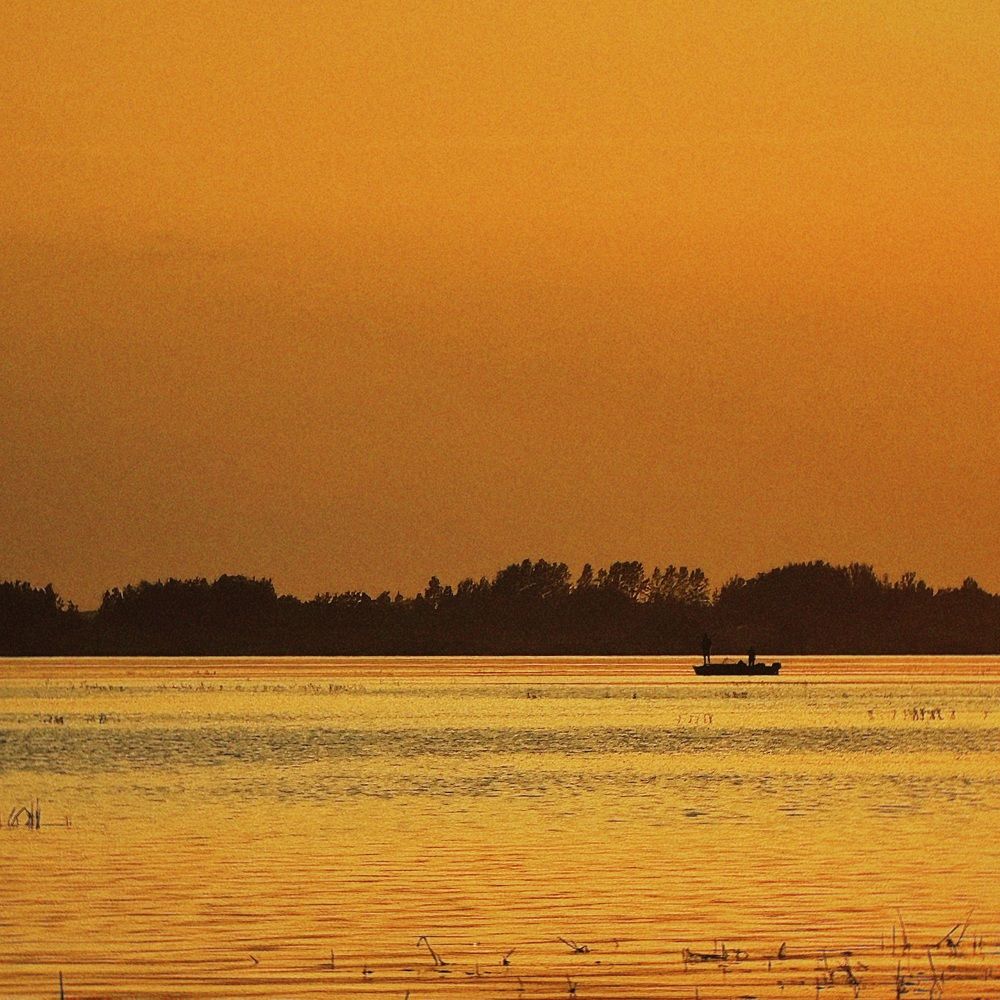 Фотография автора Дарья Викторова