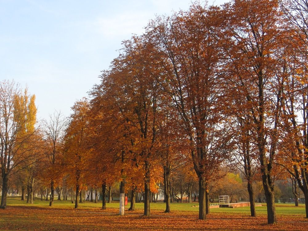 Photograph by Татьяна Поминова