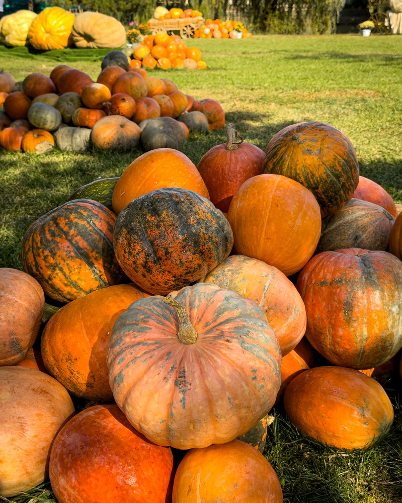 Photograph by Ольга Бибекина