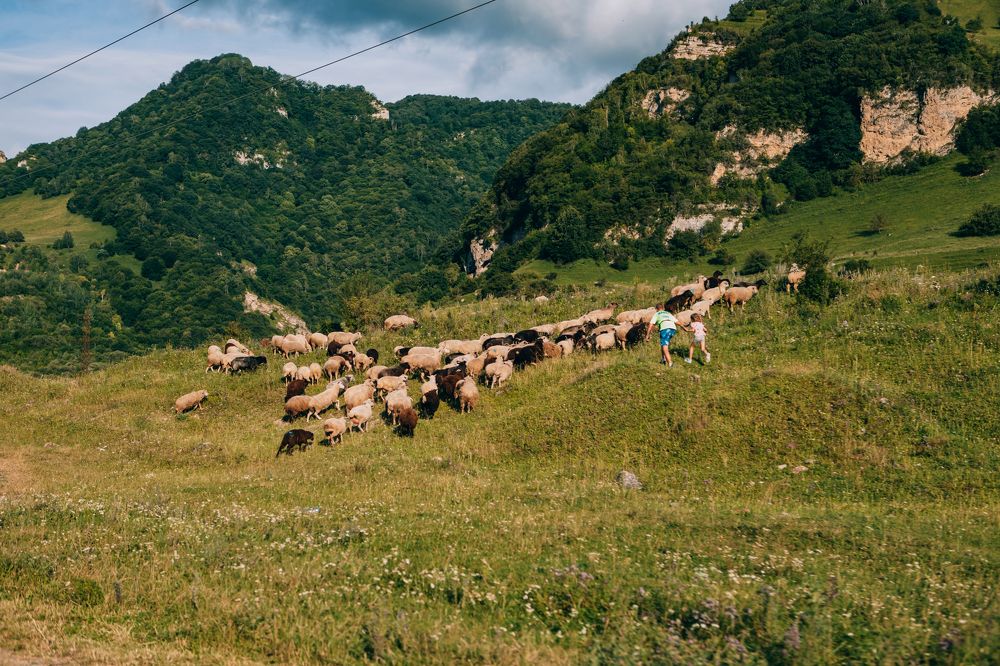 Photograph by Марина Денисова