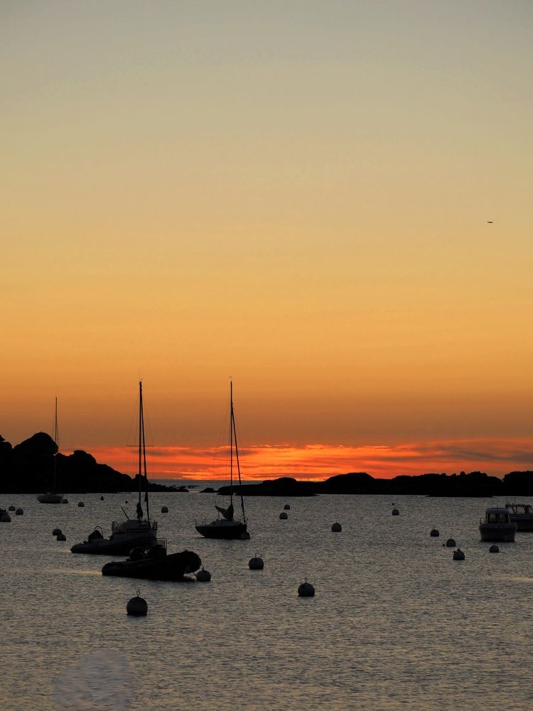 Photograph by Александра Шилова