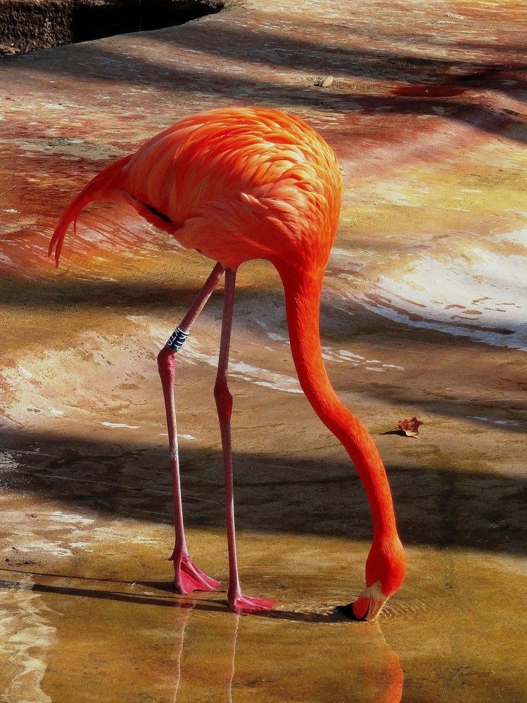 Photograph by Марина Раткун