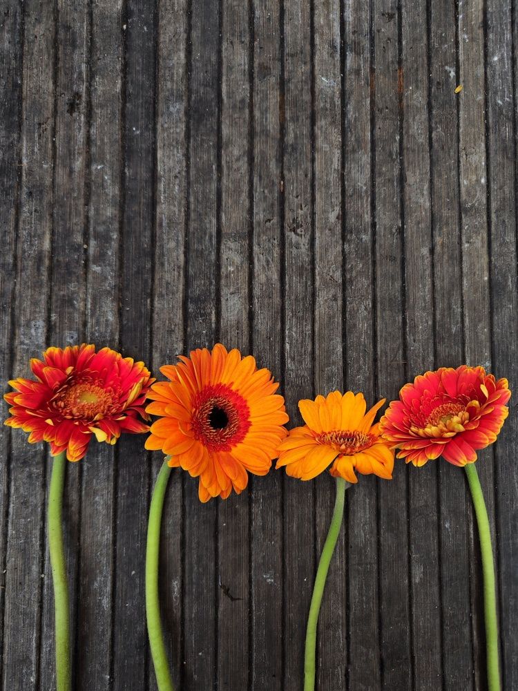 Photograph by Александра Шилова