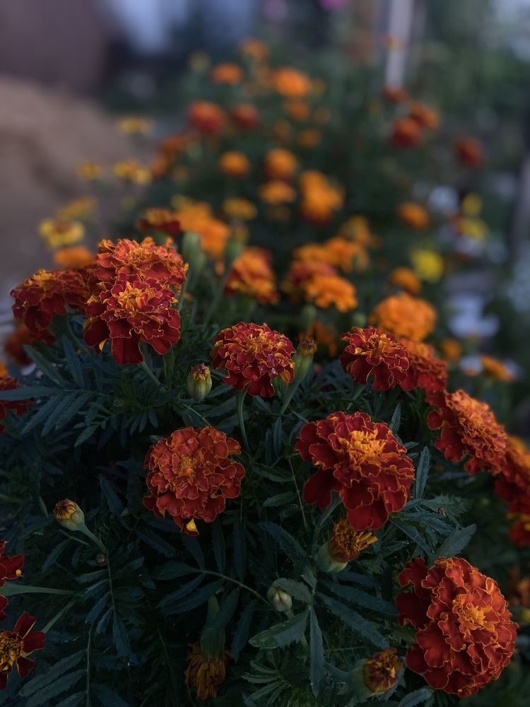 Photograph by Наталья Душакова