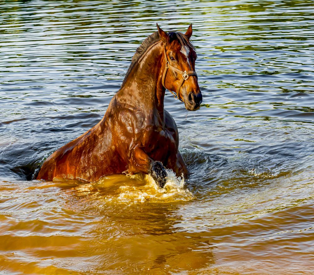Photograph by александр лялин