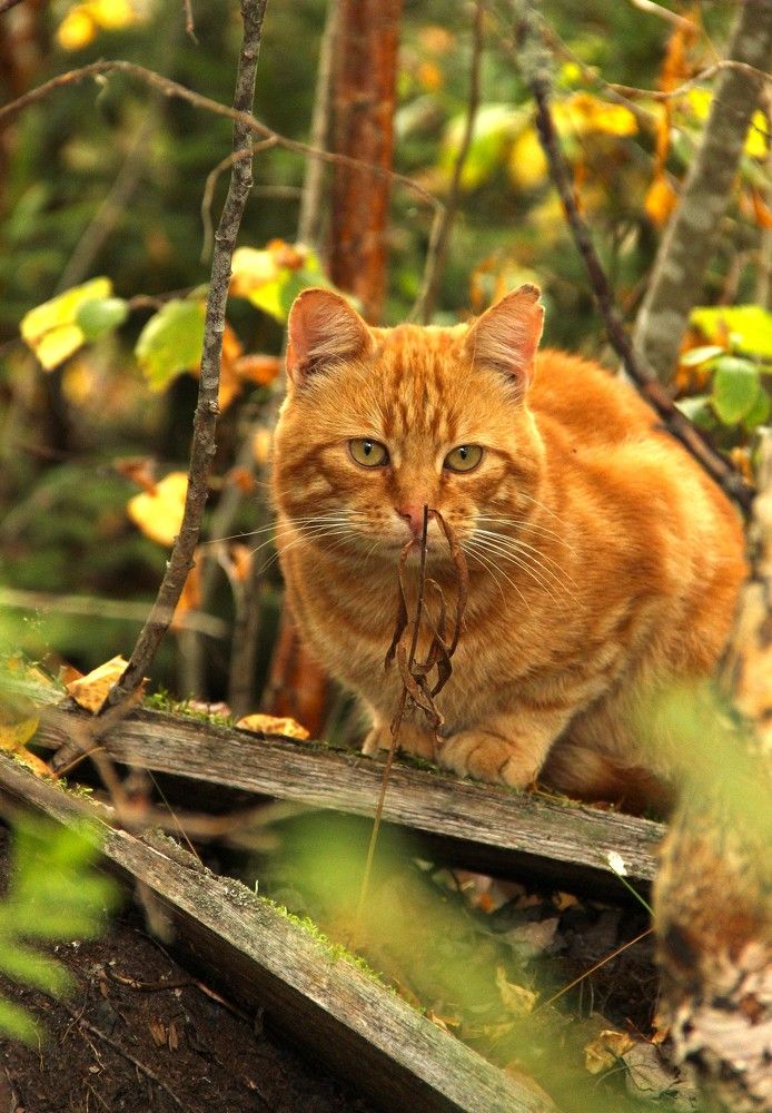 Photograph by Екатерина