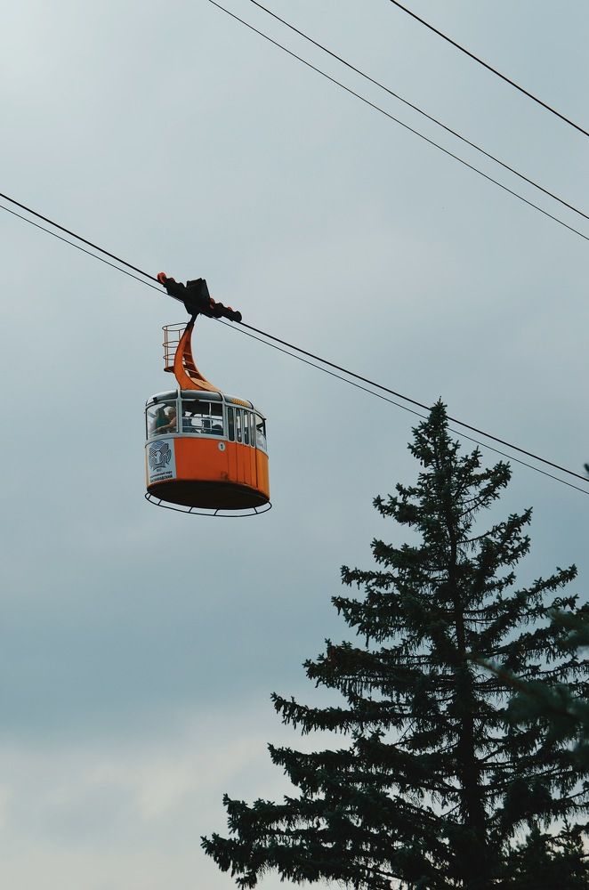 Photograph by Алёна Петрова