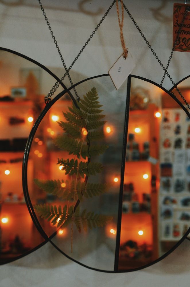 Photograph by Алёна Петрова