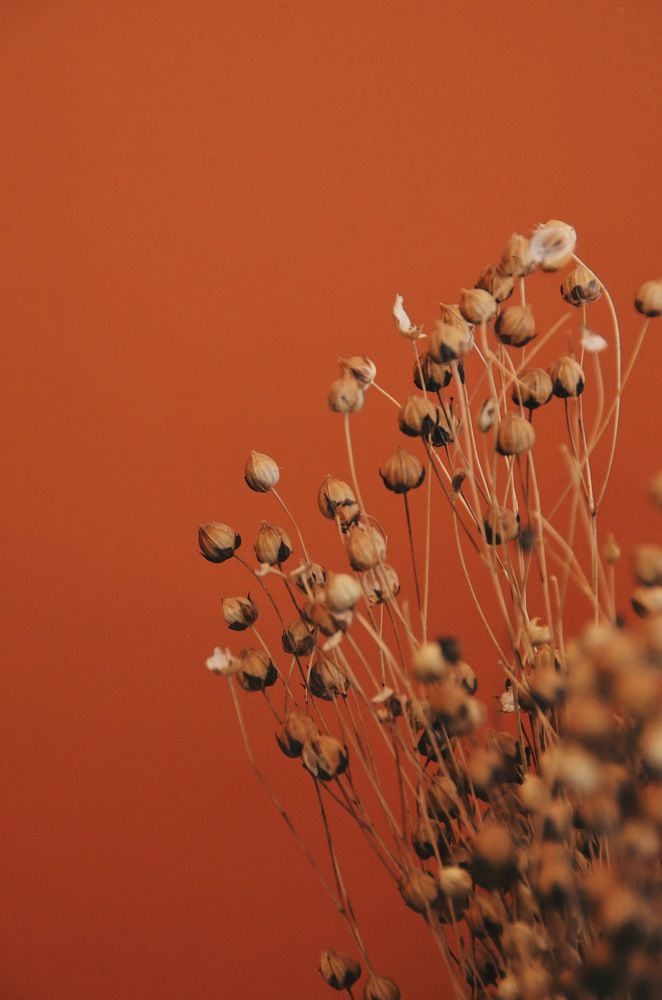 Photograph by Алёна Петрова