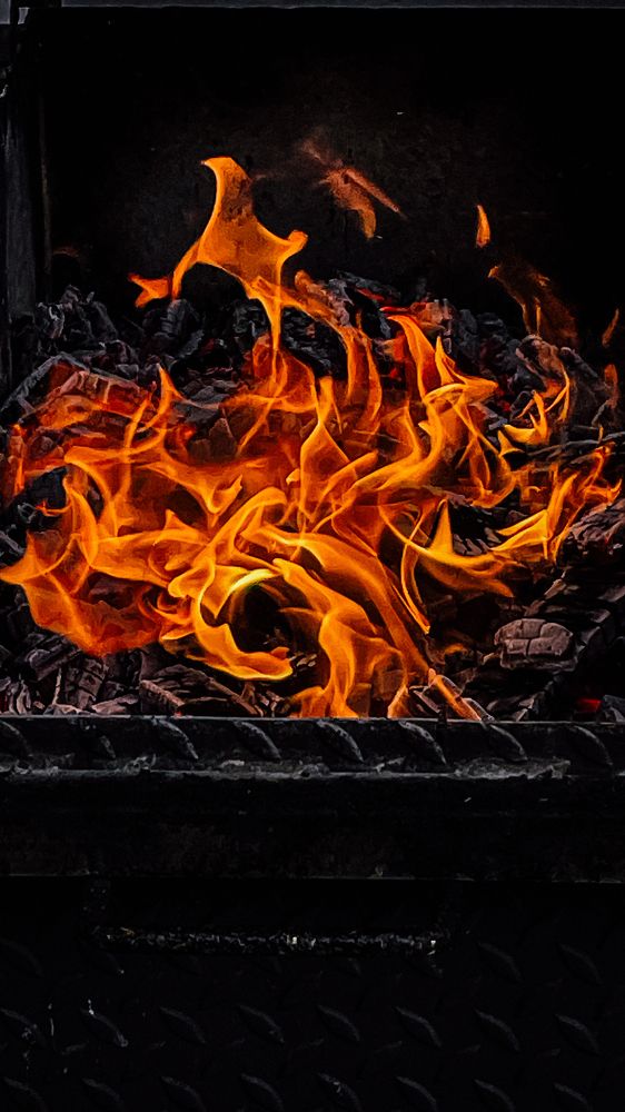 Фотография автора Ольга Каминская