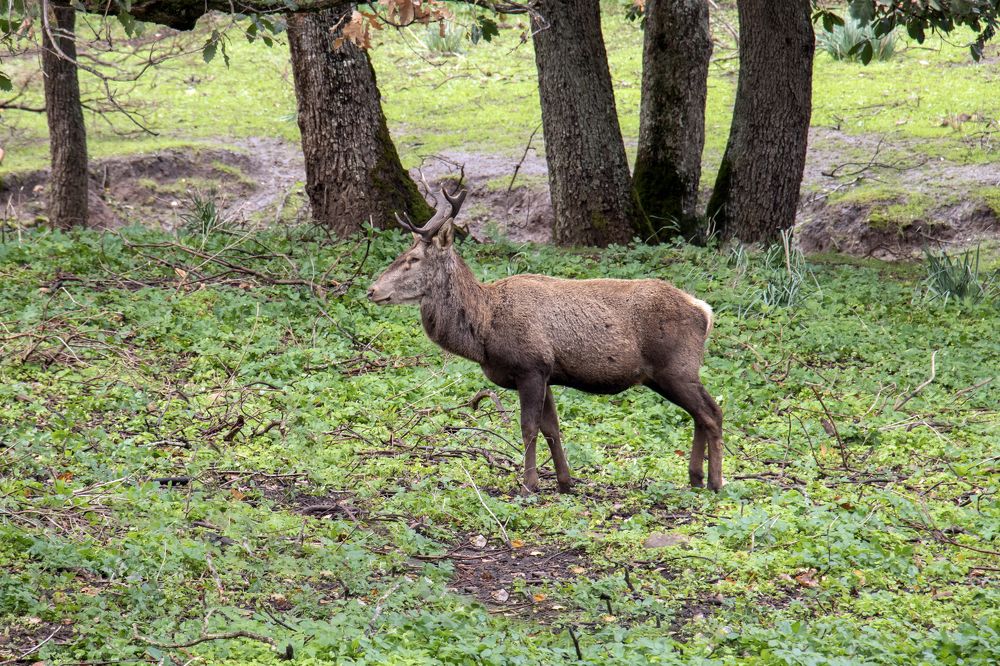 Фотография автора Ismail SAIDI