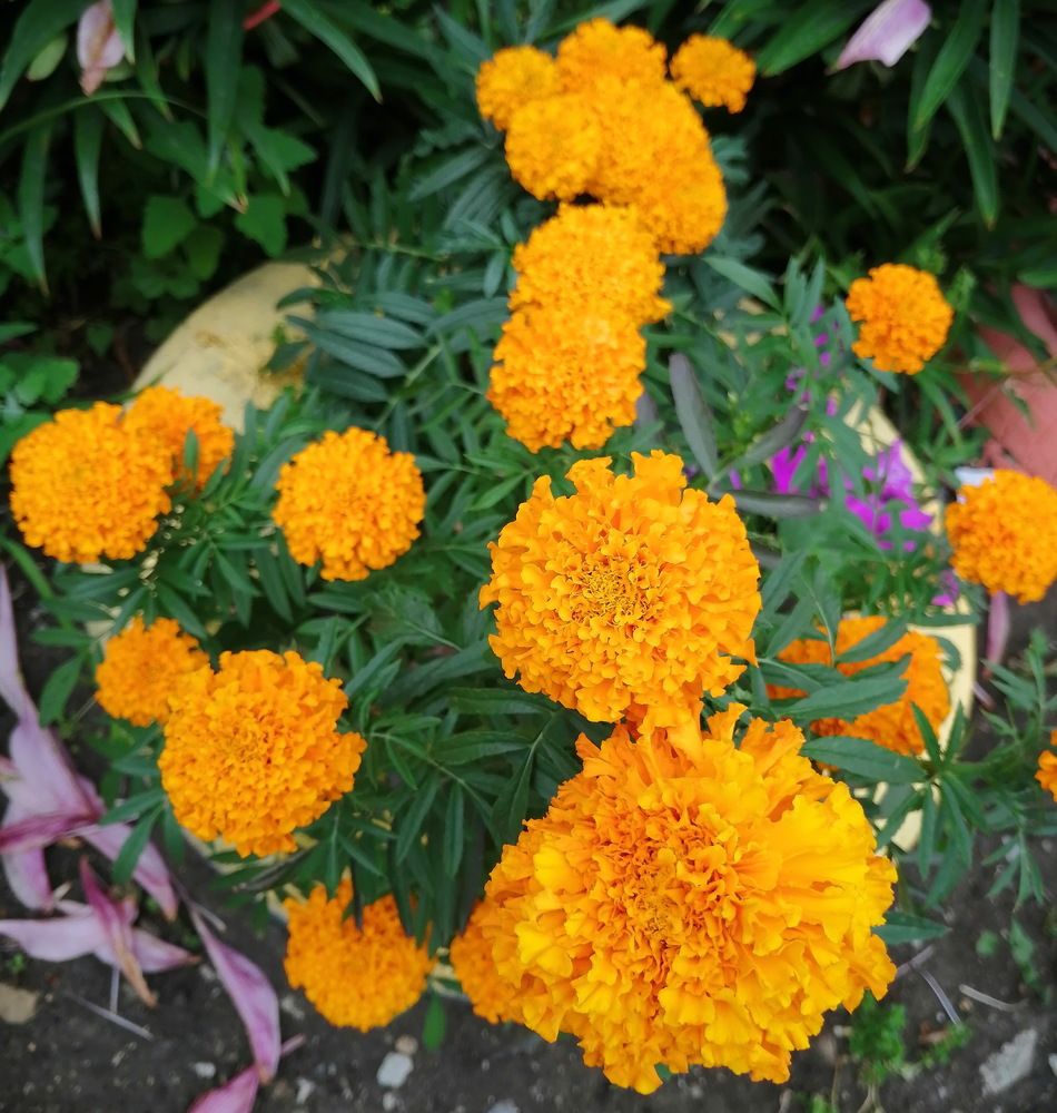 Photograph by Наталия