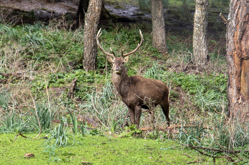 Фотография автора Ismail SAIDI
