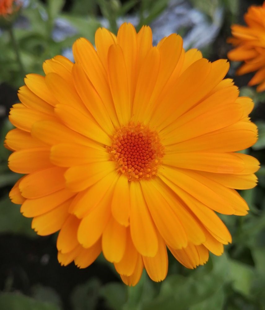 Photograph by Наталия