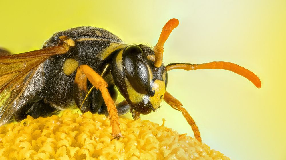 Photograph by Андрей Кривов