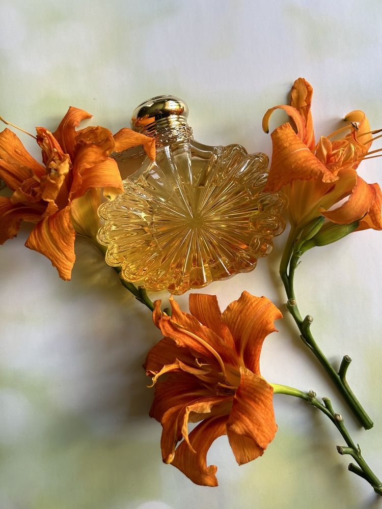 Photograph by Елена Власова