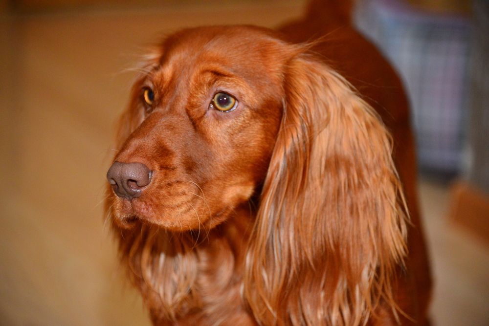 Photograph by Дмитрий Юдин