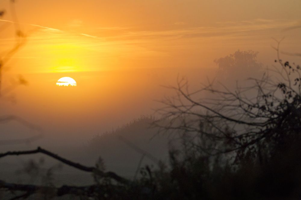 Photograph by Дмитрий Черепков