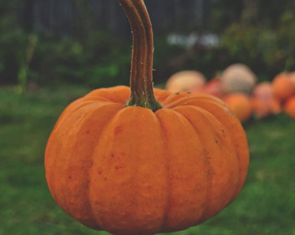 Фотография автора Aliaksandr Kazhdan