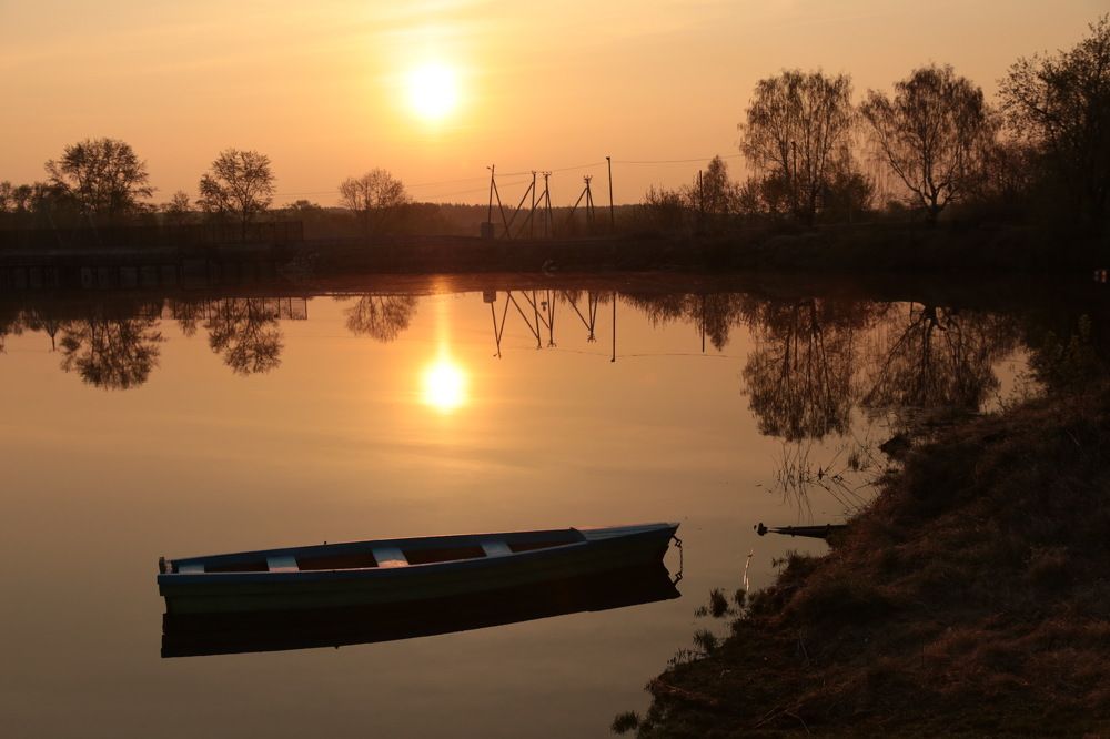 Photograph by 