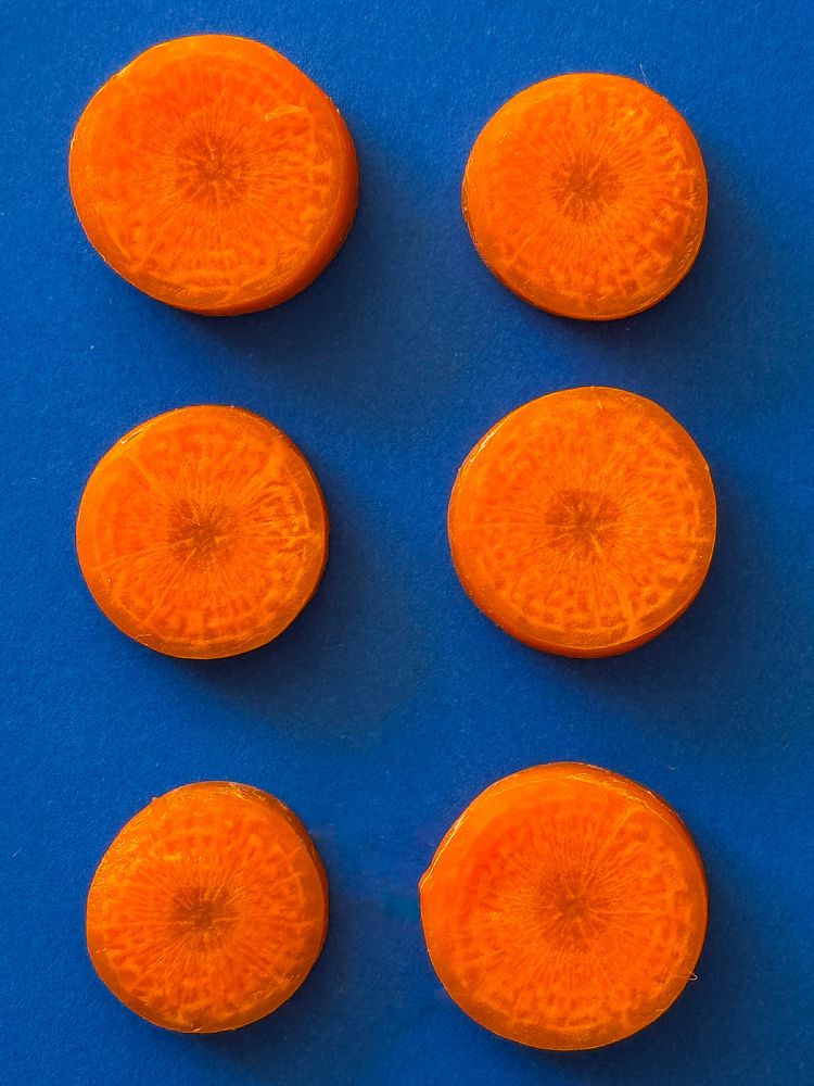 Photograph by Julia Smilovitsky