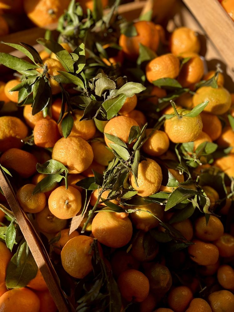 Абхазские мандарины