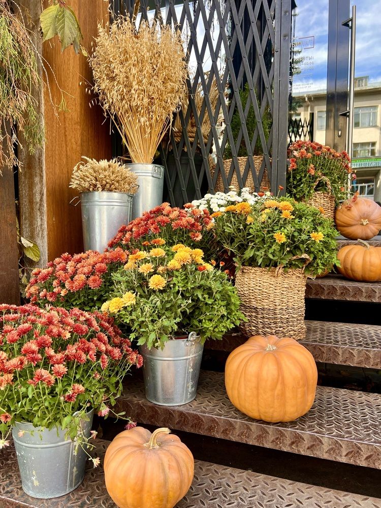 Photograph by Алёна Маринина