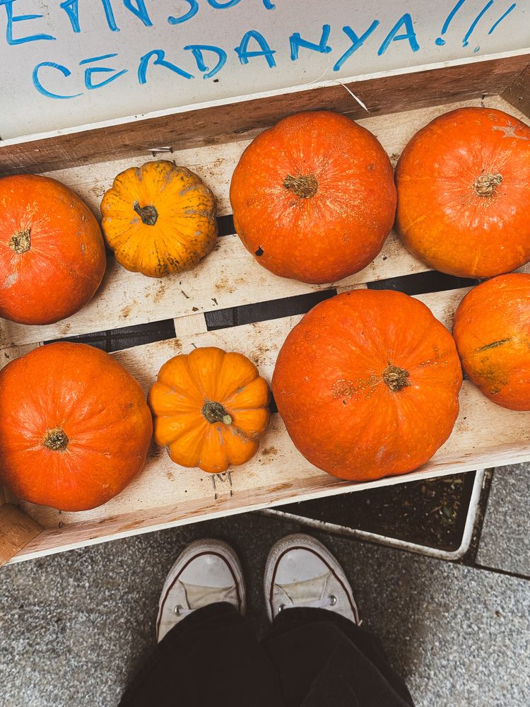 Photograph by Julia Smilovitsky