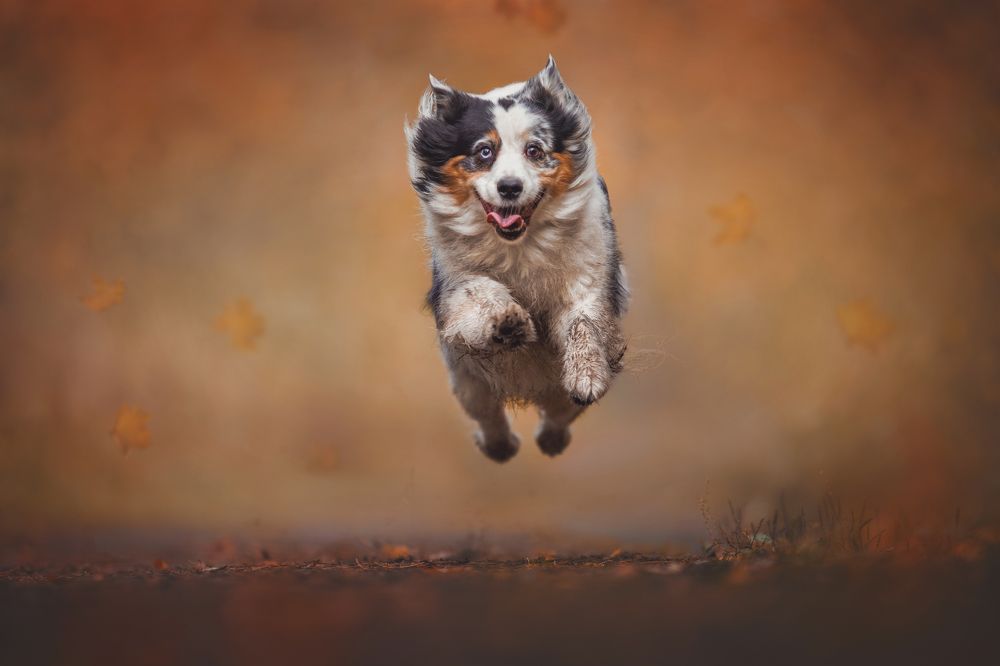 Photograph by Яна Нарбутович