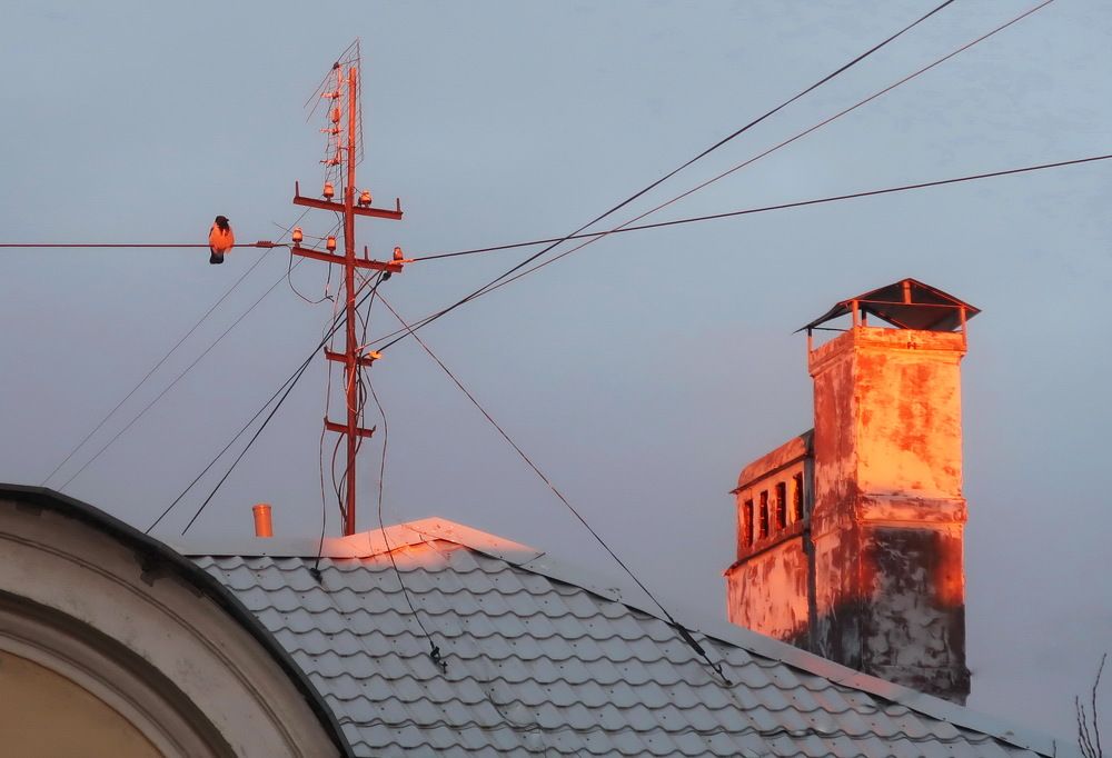 Photograph by Нина