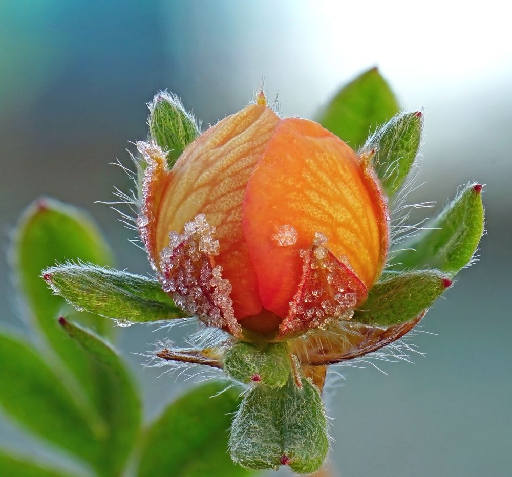 Photograph by Наталья Соколова