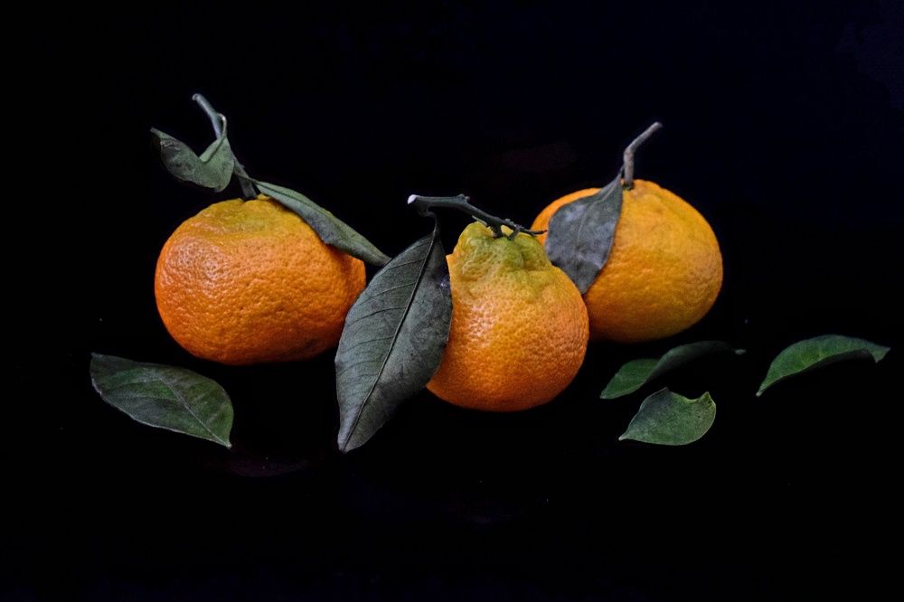 Photograph by Антонина Шабышева