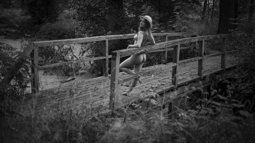 Фотография автора zan zibovsky