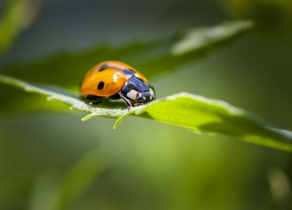 Photograph by Дмитрий Черепков