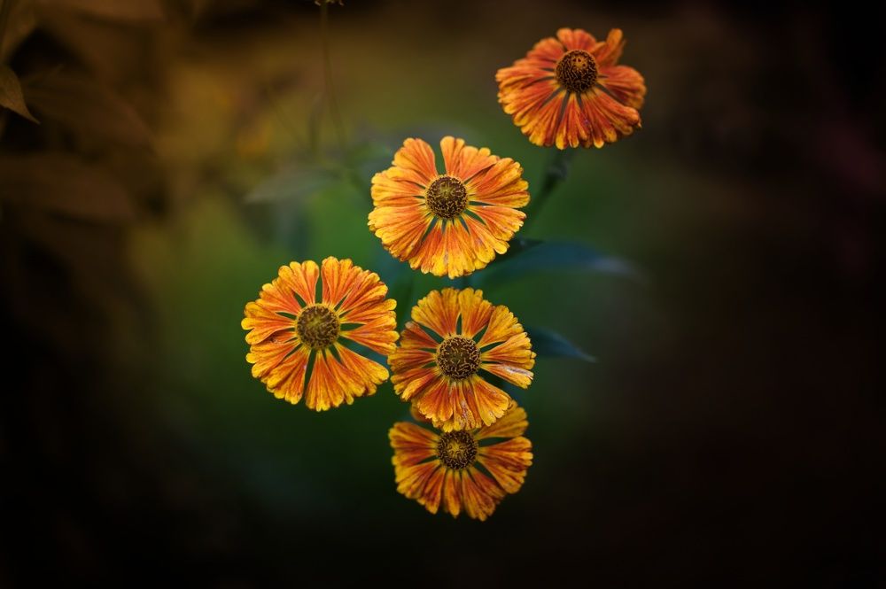 Photograph by Михаил Гаврилов